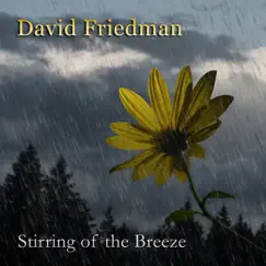 Stirring of the Breeze by David Friedman album reviews, ratings, credits