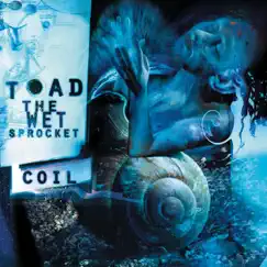 Coil by Toad the Wet Sprocket album reviews, ratings, credits