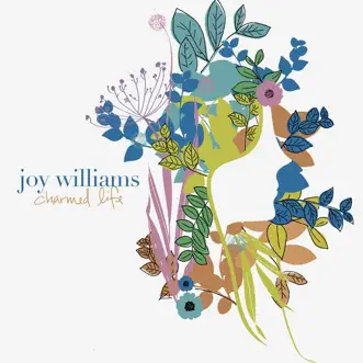 Charmed Life (Remixes) - EP by Joy Williams album download