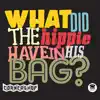 What Did the Hippie Have In His Bag? - Single album lyrics, reviews, download