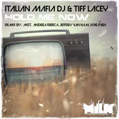 Hold Me Now - EP by Italian Mafia DJ album reviews, ratings, credits
