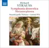 Strauss, R.: Symphonia Domestica - Metamorphosen album lyrics, reviews, download