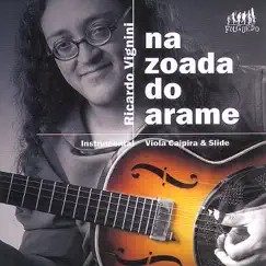 Na Zoada do Arame Song Lyrics