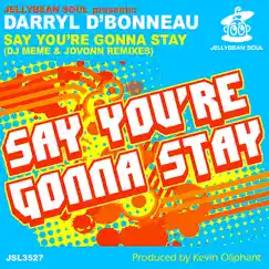Say You're Gonna Stay (Original Mix) Song Lyrics