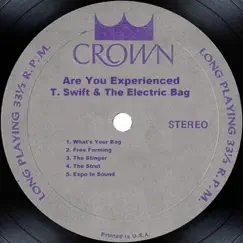 Are You Experienced Song Lyrics