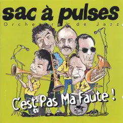 C'est Pas Ma Faute (It Ain't My Fault) by Sac à Pulses album reviews, ratings, credits
