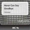 Never Can Say Goodbye - Single album lyrics, reviews, download