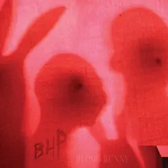 Blood Bunny / Black Rabbit by The Black Heart Procession album reviews, ratings, credits