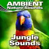 Jungle Sounds album lyrics, reviews, download