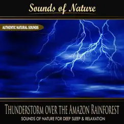 Thunderstorm Over the Amazon Rainforest - Single by Sounds of Nature for Deep Sleep and Relaxation album reviews, ratings, credits
