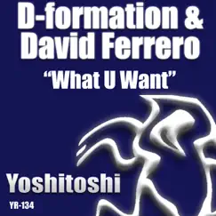 What U Want (Sergio Fernandez Remix) Song Lyrics