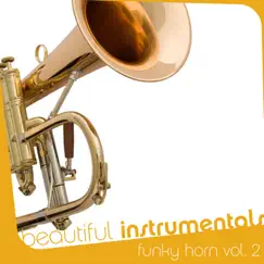 Beautiful Instrumentals: Funky Horn Vol. 2 by Gabor Kristof album reviews, ratings, credits