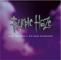 Purple Haze Song Lyrics