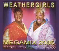 Mega-Mix 2005 (It`s Raining Men, Wild Thang, Born to Be Alive, Can U Feel It) Song Lyrics