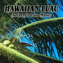 Maui At Midnight Song Lyrics