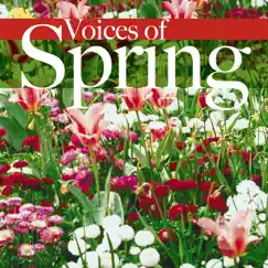 Voices of Spring, Waltz, Op. 410 Song Lyrics