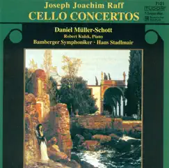 Cello Concerto No. 1 In D Major, Op. 193: I. Allegro Song Lyrics
