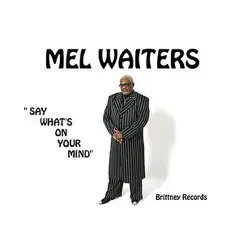 Say What's On Your Mind by Mel Waiters album reviews, ratings, credits
