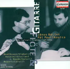 Mozart, Haydn, Diabelli, Rossini & Weber: Flute and Guitar Arrangements by Janos Balint & Pal Paulikovics album reviews, ratings, credits