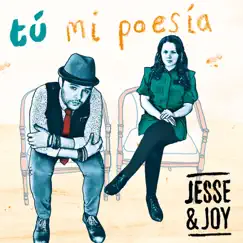 Tú Mi Poesía - Single by Jesse & Joy album reviews, ratings, credits