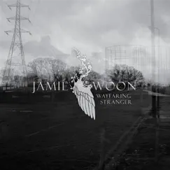 Wayfaring Stranger - EP by Jamie Woon album reviews, ratings, credits