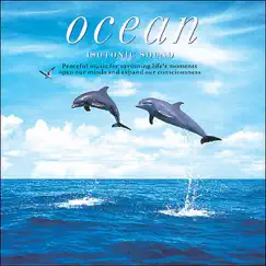 LAGOON-Dolphins Song Lyrics