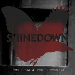 The Crow & the Butterfly - Single by Shinedown album reviews, ratings, credits