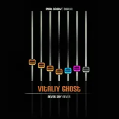 Never Say Never - Single by Vitaliy Ghost album reviews, ratings, credits
