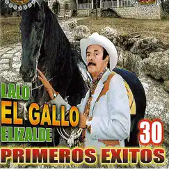 El Gallo de San Juan Song Lyrics