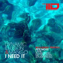 I Need It (Soundstorm Remix) Song Lyrics