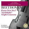 Piano Trio No. 7 In B-Flat Major, Op. 97: I. Allegro Moderato song lyrics