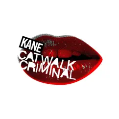 Killer On the Catwalk Song Lyrics