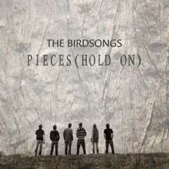 Pieces (Hold On) - Single by The Birdsongs album reviews, ratings, credits