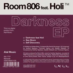Darkness (Original Mix) (feat. Holi) Song Lyrics