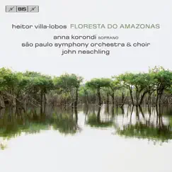Floresta do Amazonas: Passaro da Floresta - Canto III (Bird of the Forest - Third Song) Song Lyrics