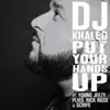 Put Your Hands Up (feat. Young Jeezy, Plies, Rick Ross & Schife) - Single album lyrics, reviews, download