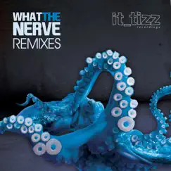 What the Nerve - Remix - Single by Shab Ruffcut & Russ Jay album reviews, ratings, credits