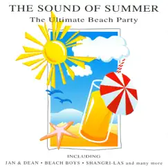In the Summertime (Rerecorded) Song Lyrics