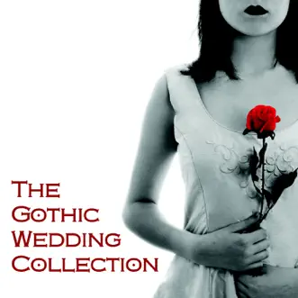 The Gothic Wedding Collection by Vitamin String Quartet album download