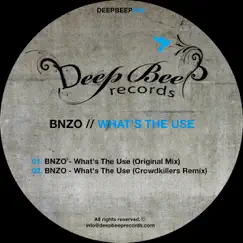 What's the Use - Single by BNZO album reviews, ratings, credits