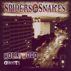 Spiders and Snakes Song Lyrics