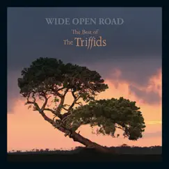 Wide Open Road Song Lyrics