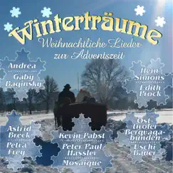Winterzauberzeit Song Lyrics
