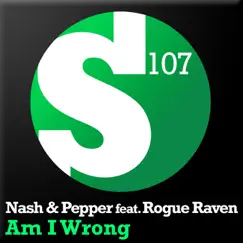 Am I Wrong (Radio Edit) Song Lyrics