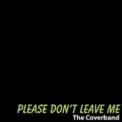 Please Don't Leave Me - Single by The Coverband album reviews, ratings, credits