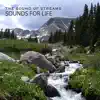 Sound of Streams album lyrics, reviews, download