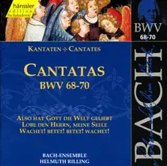 Wachet! Betet! Betet! Wachet!, BWV 70: Aria: Hebt Euer Haupt Empor (Tenor) Song Lyrics