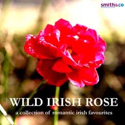 My Wild Irish Rose Song Lyrics