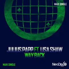 Way Back (DJ Smash Brooklyn Tech Vocal Mix) Song Lyrics