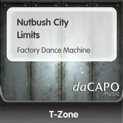 Nutbush City Limits (Factory Dance Machine) - Single by T-Zone album reviews, ratings, credits